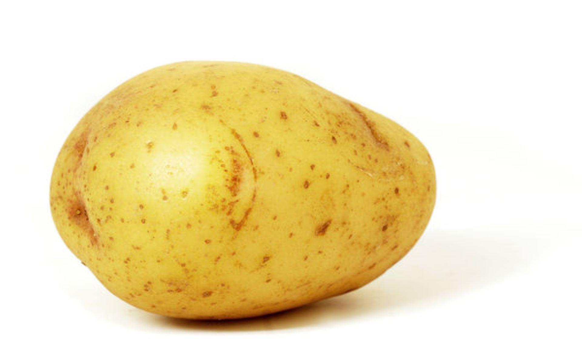 Potato